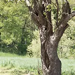 בית חווה I Fondacci Grizzana