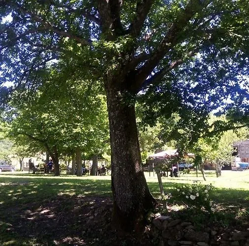 I Fondacci Feriegård *