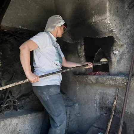 I Fondacci Séjour à la ferme