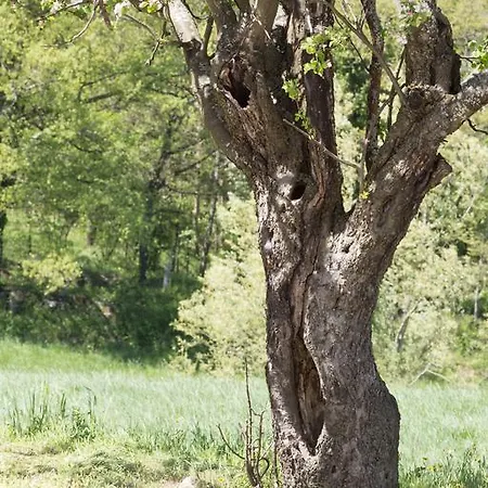 Farmház I Fondacci Grizzana