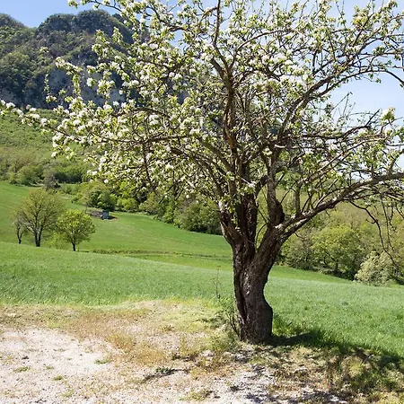 I Fondacci