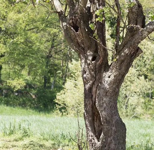 팜스테이 I Fondacci 그리짜나